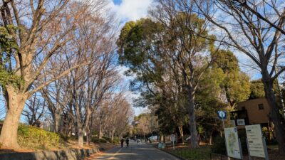 あけましておめでとうございます。　令和八年元旦